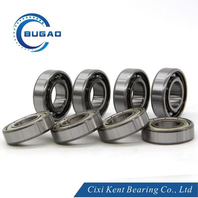 6001 6002 6003 6004 6005 Zz/Z/2RS/2rz Cuscinetti di acciaio Cuscinetti radiali per generatori portatili