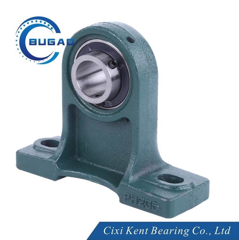 UCP205 Cuscinetto Cixi cuscinetto blocco in acciaio cromo con flange in ghisa Tolleranza P6